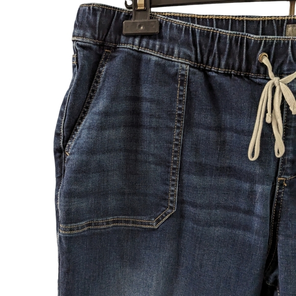 Torrid ankle jeans size 2.  Elastic waist pull on pants with draw string as well - Picture 3 of 6
